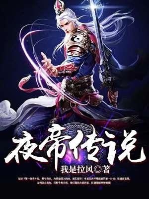 夜帝武功