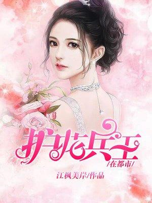 护花兵王在都市夏天免费阅读