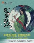 无双驸马gl 百度