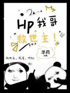 hp之救世主的哥哥不