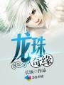 龙珠传奇百度百科