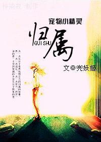 宠物小精灵所有属性