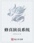 扮演的系统